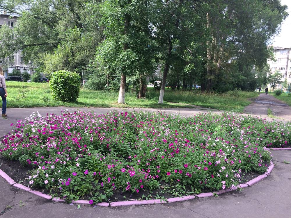 Дружбы, 61