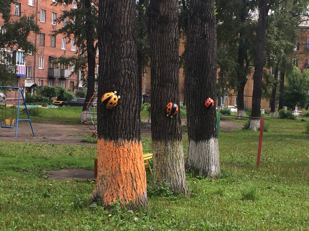 Ул. Петракова, 76